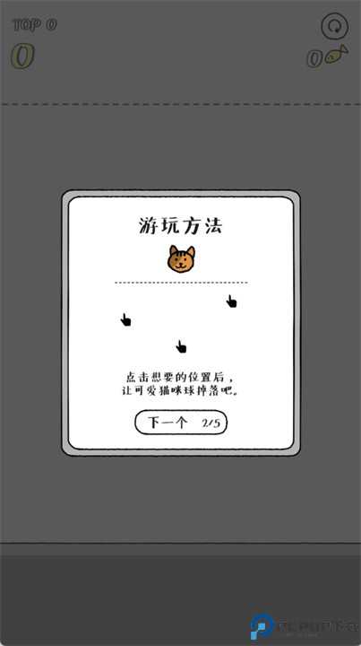 猫咪真的很爆爆