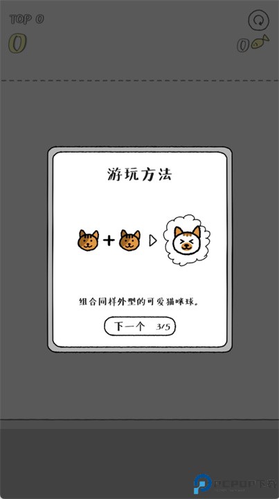 猫咪真的很爆爆