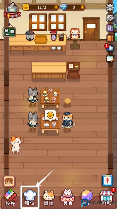 猫咪造咖