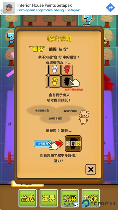 可爱的猪牧场故事