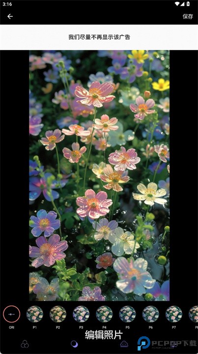 analogfilm salmon相机