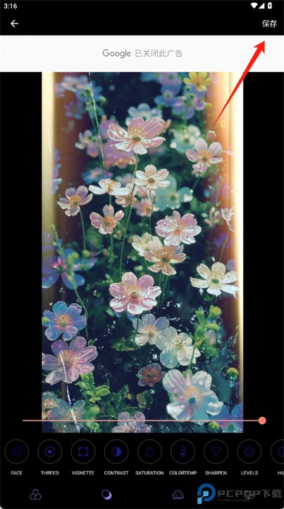 analogfilm salmon相机