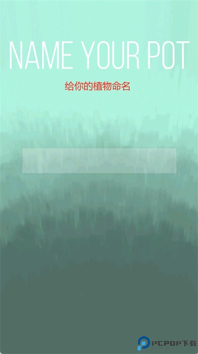 viridi游戏