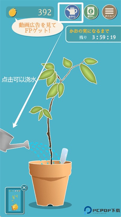 长脸的树手游