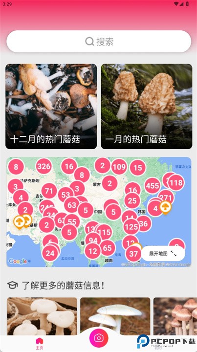 蘑菇识别扫一扫软件中文版