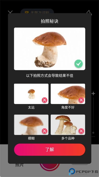 蘑菇识别扫一扫软件中文版