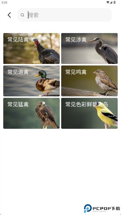 picture bird