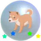 泡沫崩溃