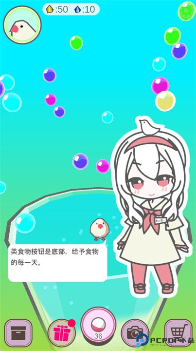 文鸟芭菲宠物安卓版