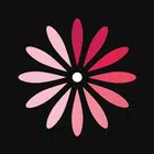 女性日历