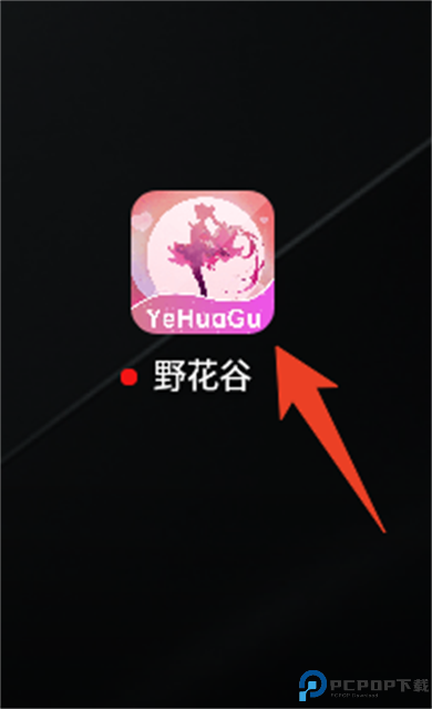 野花谷社交截图
