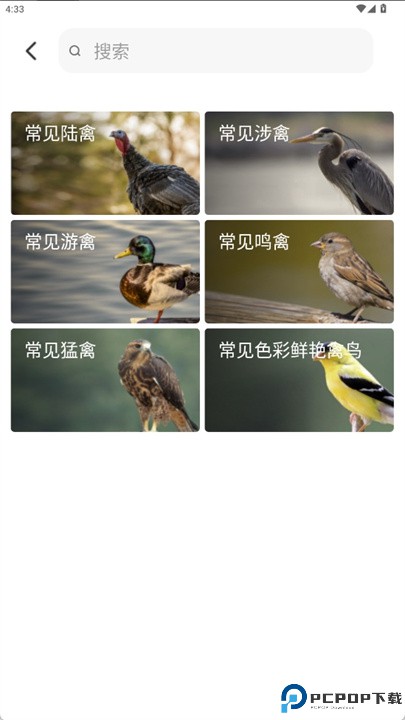 拍照识鸟app