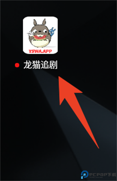 龙猫追剧安卓版