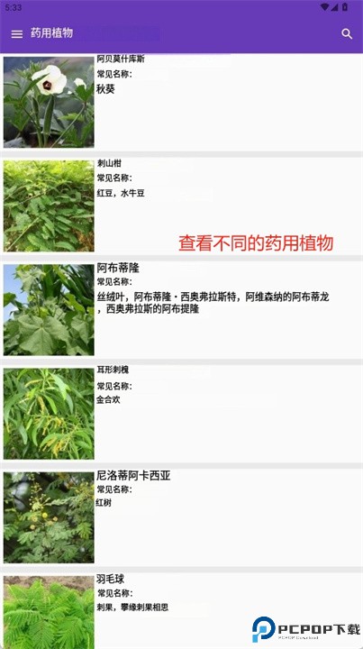 药用植物识别