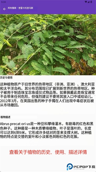 药用植物识别