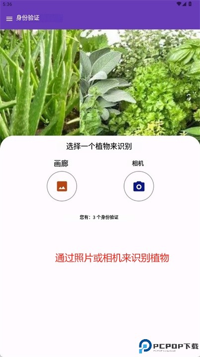 药用植物识别