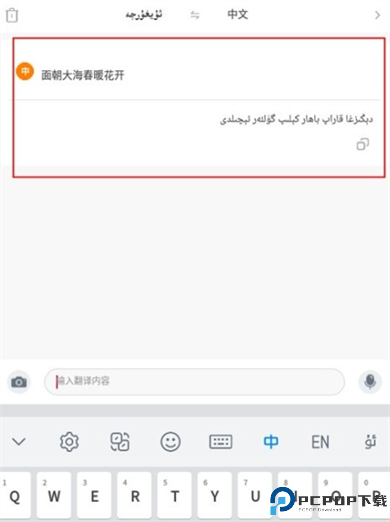 nur输入法