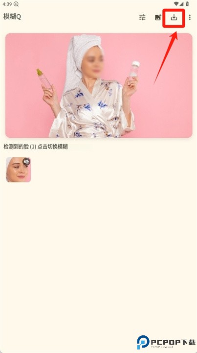 脸部模糊照片编辑器软件