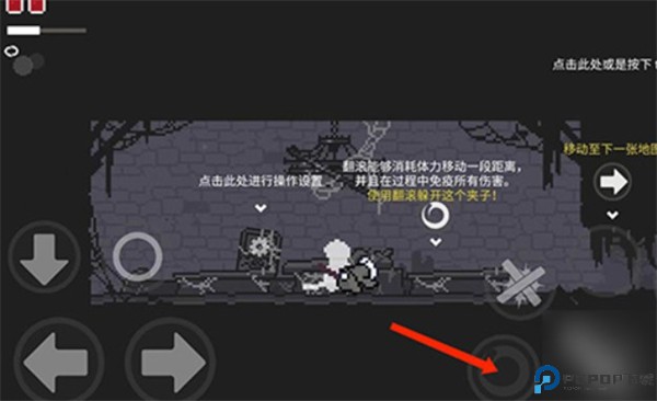 只兔不灭的勇者