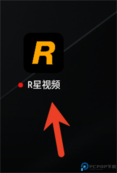 R星视频软件