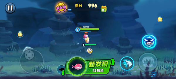 鱼吃鱼手游截图
