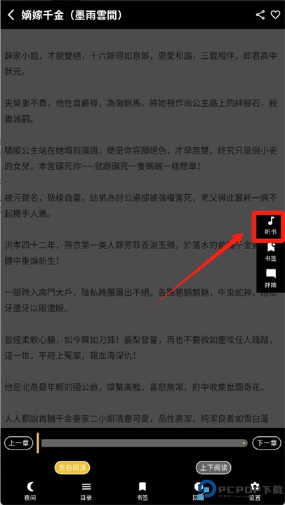 黑猫小说app
