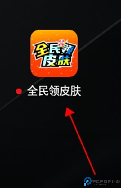 全民皮肤