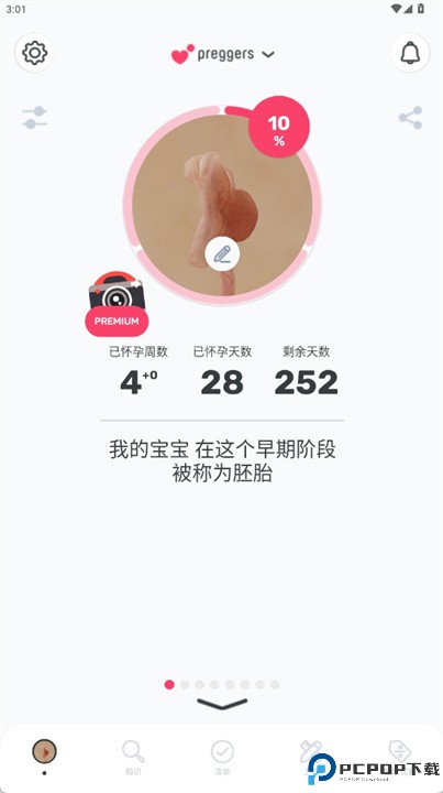 Preggers软件