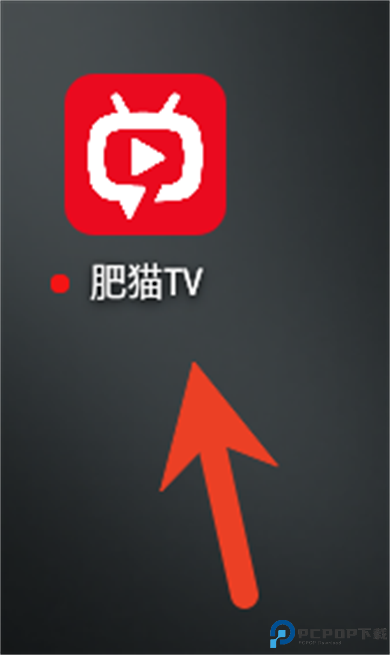 肥猫tv