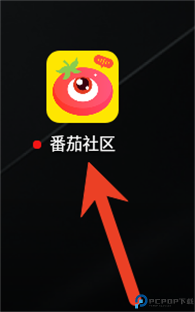 番茄社区安卓