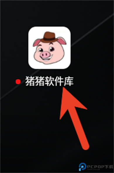 猪猪软件库