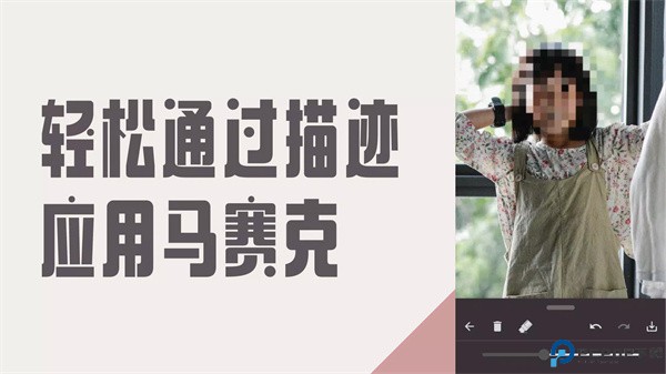 马赛克与模糊照片编辑器软件