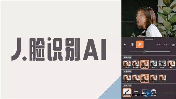 马赛克与模糊照片编辑器软件