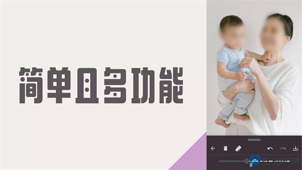 马赛克与模糊照片编辑器软件
