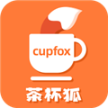 茶杯狐