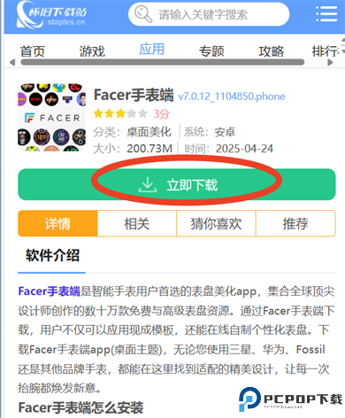 Facer手表端