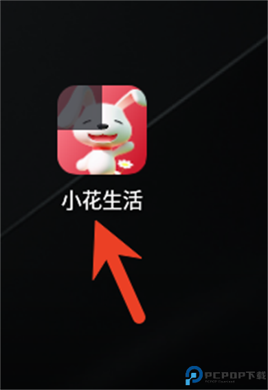 小花生活软件