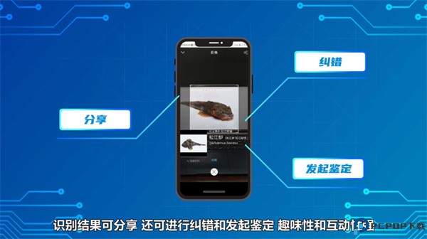 看鱼app