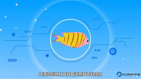 看鱼app