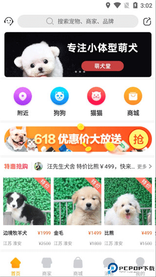 宠物市场