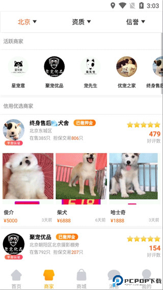 宠物市场