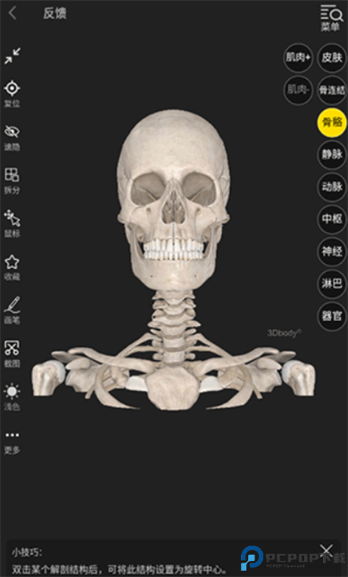 3Dbody解剖app