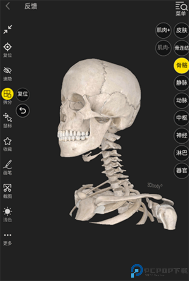 3Dbody解剖app