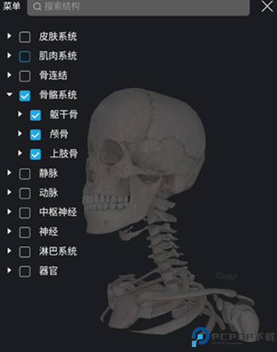 3Dbody解剖app