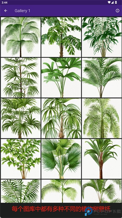 植物树壁纸手机版