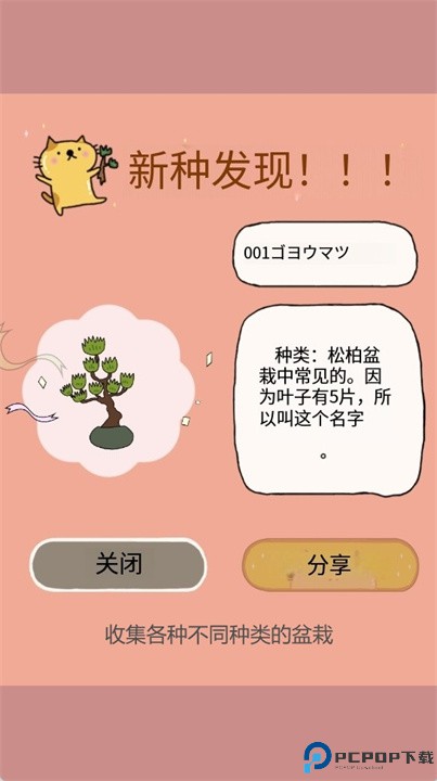 盆栽大师