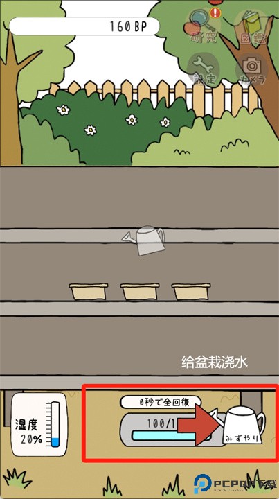 盆栽大师
