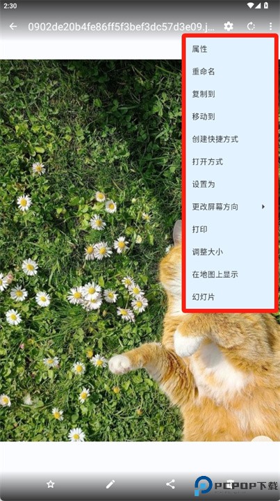 猫画廊安卓版