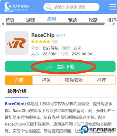 RaceChip