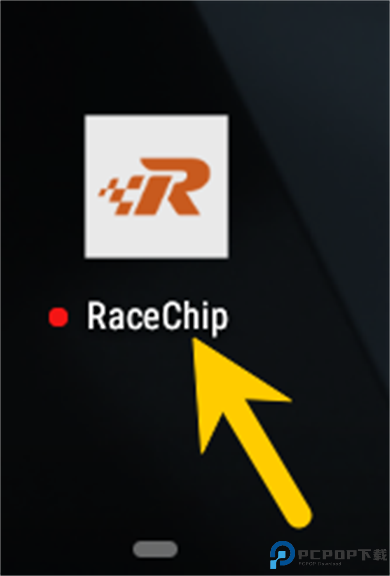 RaceChip